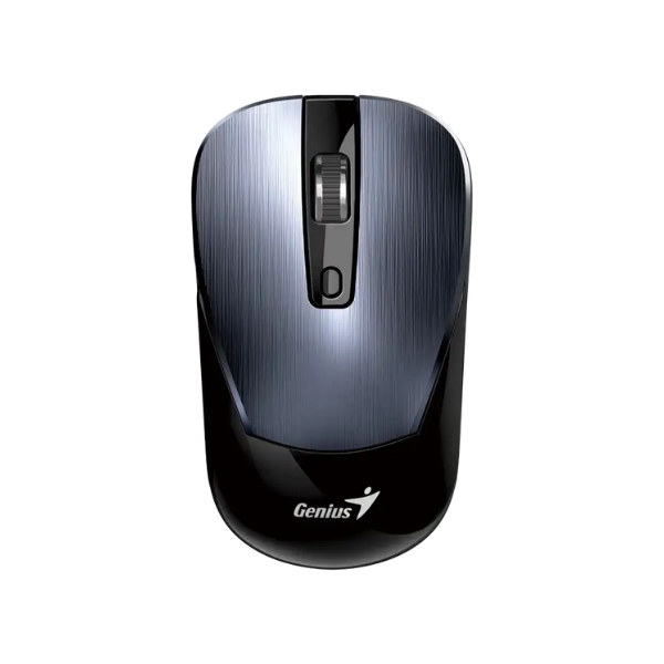 Mouse Genius Nx-7125 Iron Gray