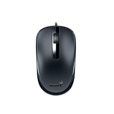 Mouse Genius Dx-120,Usb-C,Black 